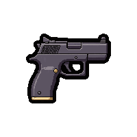 dual pistols akimbo  extended magazine