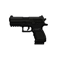 dual pistols akimbo  laser sight equipped