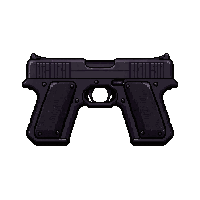 dual pistols akimbo  matte black tactical