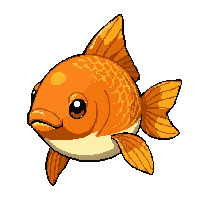orange goldfish  jumping action