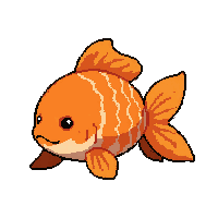 orange goldfish  sleeping peaceful