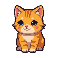 orange tabby cat  magical sparkle