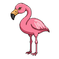 pink flamingo  fierce wild pose