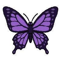 purple butterfly  fierce wild pose