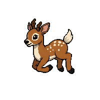 spotted deer fawn  jumping action