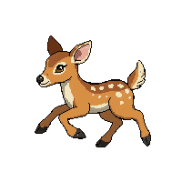 spotted deer fawn  running fast