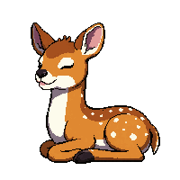 spotted deer fawn  sleeping peaceful