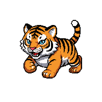 striped tiger  running fast