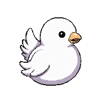 white dove  happy smiling