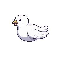 white dove  jumping action