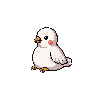 white dove  sitting calm