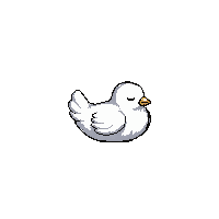 white dove  sleeping peaceful
