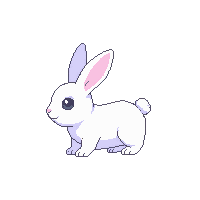 white rabbit  magical sparkle