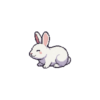 white rabbit  sleeping peaceful