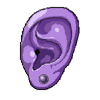 ear audio enhancer  purple street custom