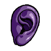 ear audio enhancer  titanium military