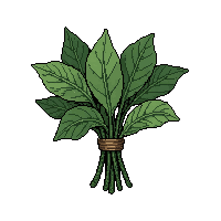 strange herb bundle  dusty forgotten