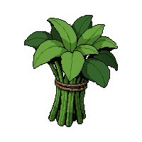 strange herb bundle  freshly prepared