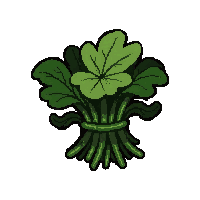 strange herb bundle  moldy decayed