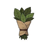 strange herb bundle  wrapped in cloth