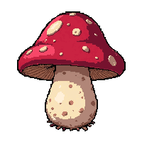 strange mushroom  freshly prepared