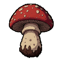 strange mushroom  moldy decayed