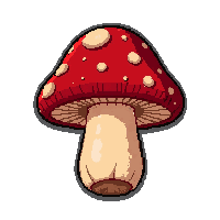 strange mushroom  sealed and clean