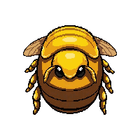 golden honeybee  giant oversized