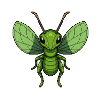 green praying mantis  flying wings spread
