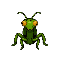 green praying mantis  giant oversized