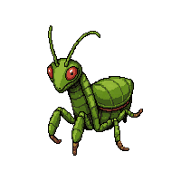 green praying mantis  realistic detailed