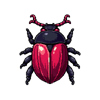 iridescent scarab  pinned specimen