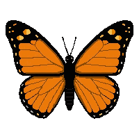 orange monarch butterfly  cute chibi style