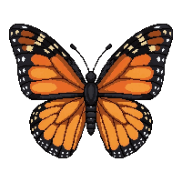 orange monarch butterfly  enchanted sparkle