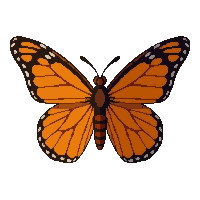 orange monarch butterfly  flying wings spread