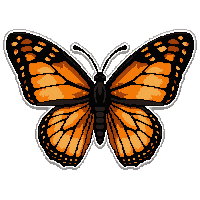 orange monarch butterfly  glowing magical