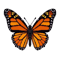 orange monarch butterfly  realistic detailed