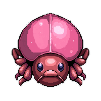 pink rose beetle  enchanted sparkle