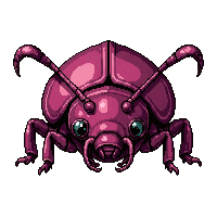 pink rose beetle  giant oversized