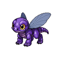 purple dragonfly  realistic detailed
