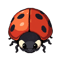 red ladybug  baby larva form