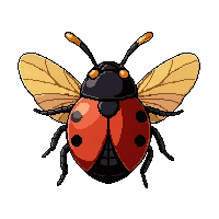 red ladybug  flying wings spread