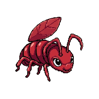 ruby red ant  baby larva form