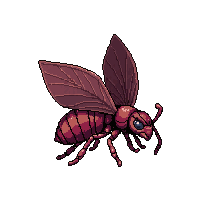 ruby red ant  flying wings spread