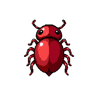 ruby red ant  pinned specimen