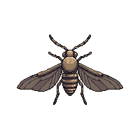 white moth  flying wings spread