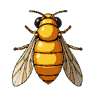 yellow firefly glowing  pinned specimen