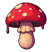 poison dripping mushroom  freshly picked
