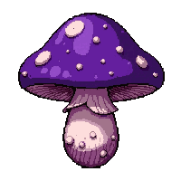 purple magic shroom  dried and preserved