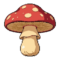 red spotted toadstool  dried and preserved